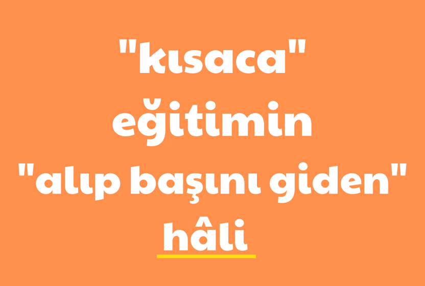 kisaca-egitimin-alip-basini-giden-hali