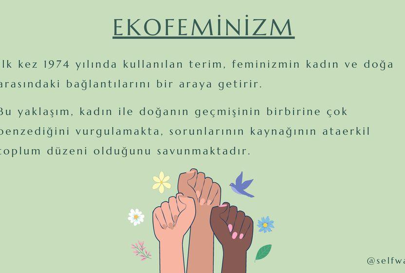 ekofeminizm-nedir