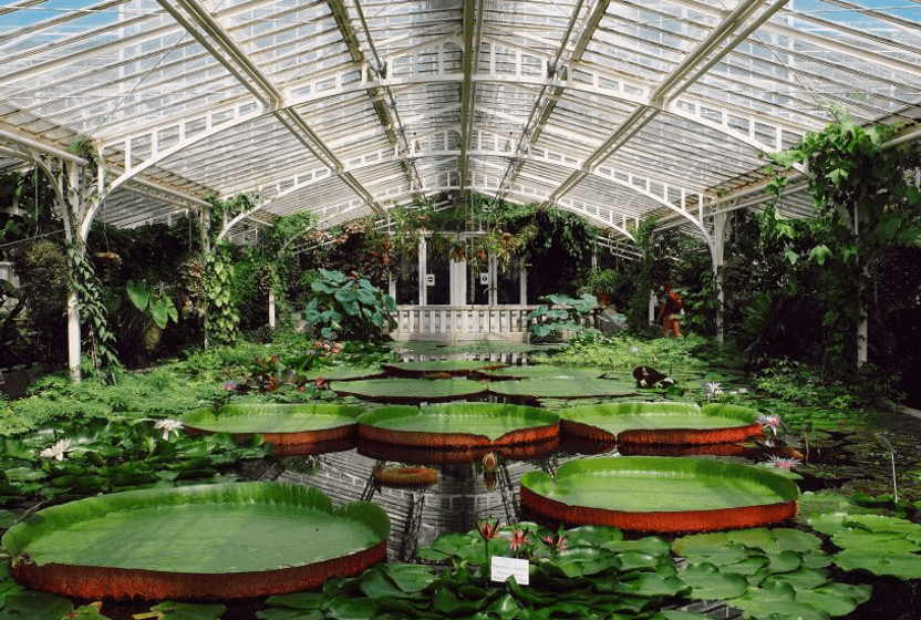 botanischer-garten-munih