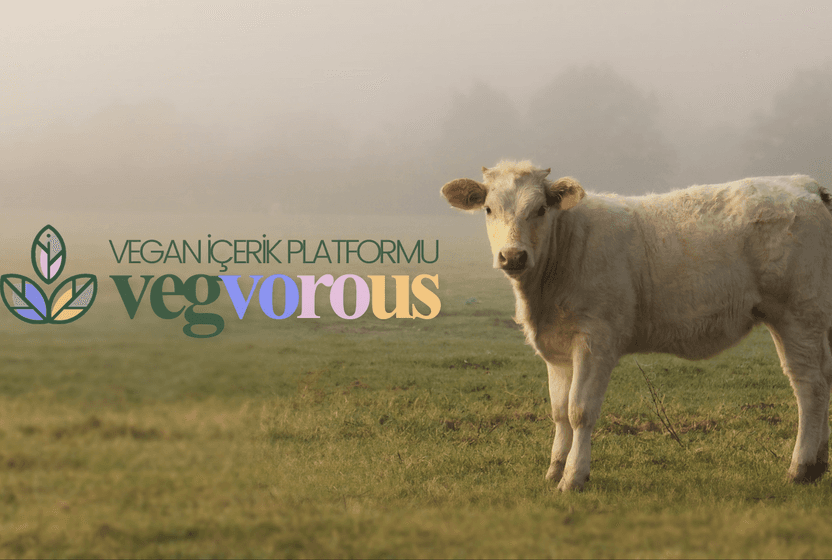 vegvorous