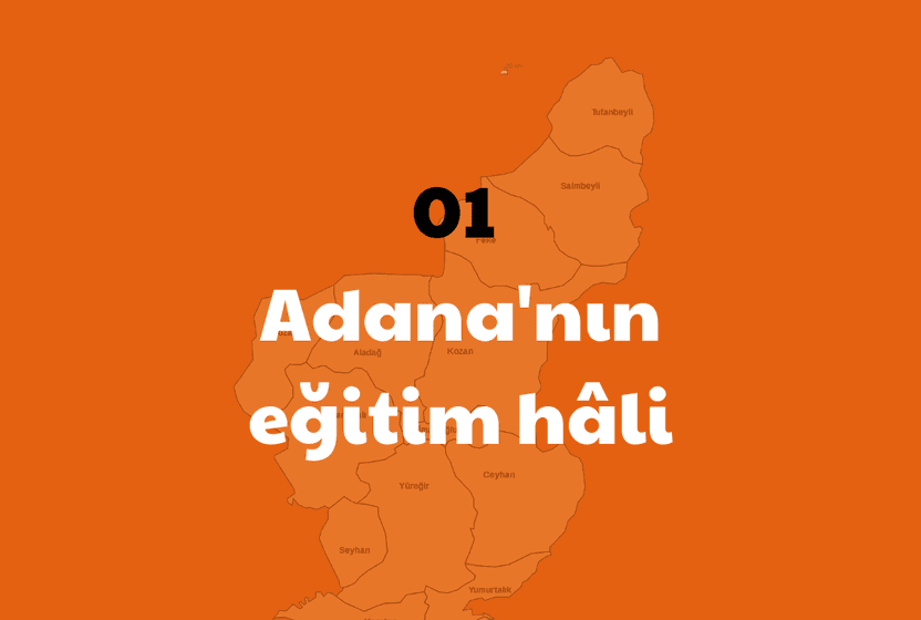 adananin-egitim-hali