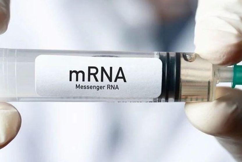 does-the-cure-for-cancer-lie-within-mrna-technology