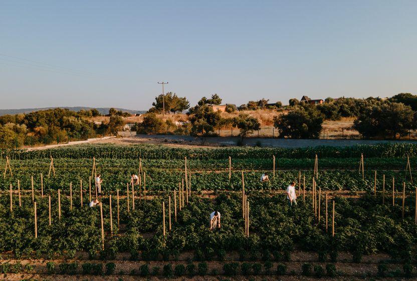 bir-gastronomi-rotasi-yildiz-urla