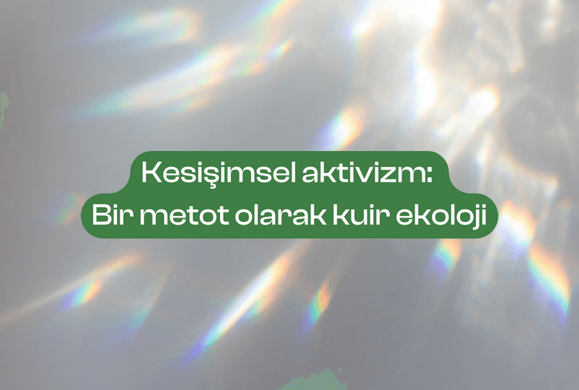 kesisimsel-aktivizm-bir-metot-olarak-kuir-ekoloji