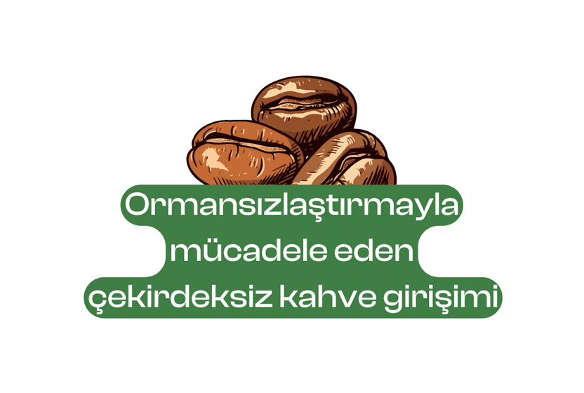 ormansizlastirmayla-mucadele-eden-cekirdeksiz-kahve