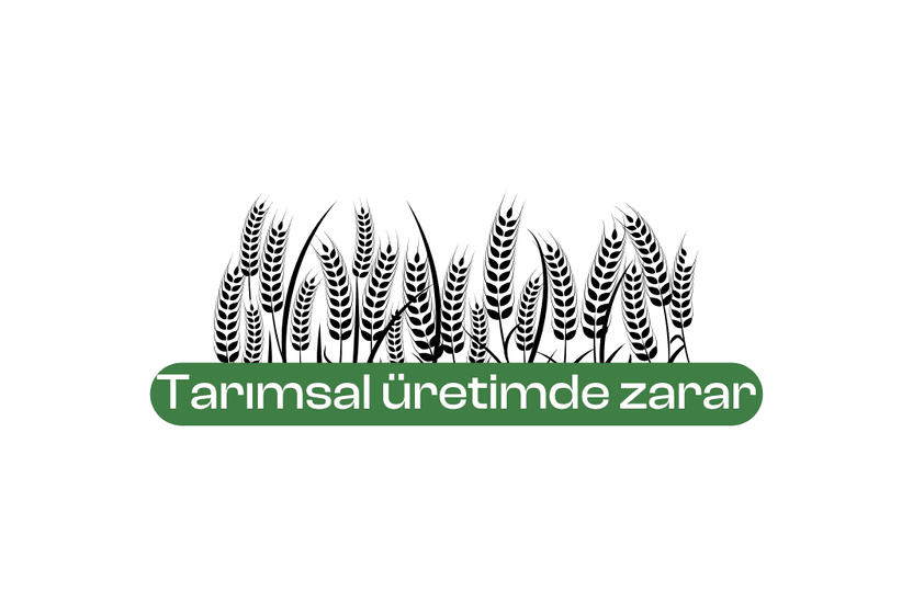 tarimsal-uretimde-zarar