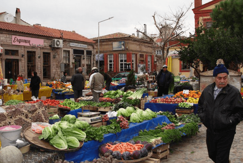 deniz-cayirlari-kabak-cicekleri-ve-aglayan-kediler-tatilciler